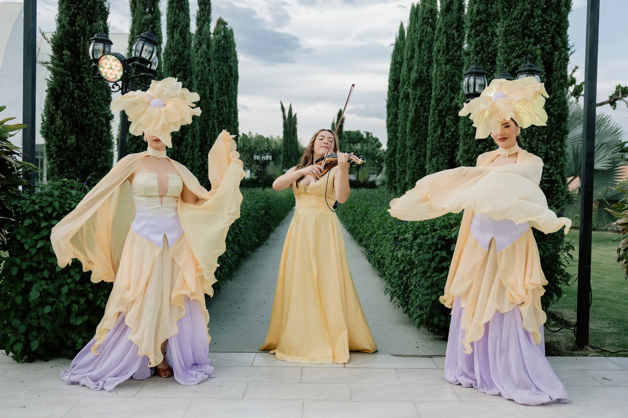 Luisa Violin Music Show